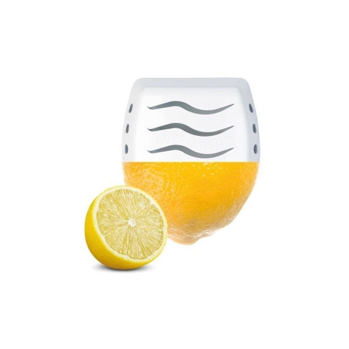 Clear+ Everfresh Nachfüllpackung Breeze of Lemon